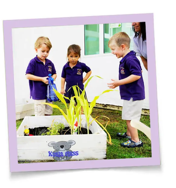 How Nursery Schools Design Their Curriculum For Children